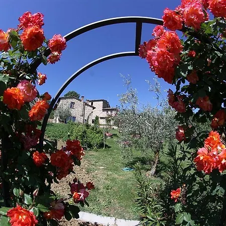 Ardene * Montepulciano